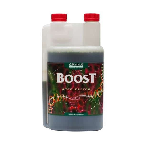 Boost Accelerator Canna
