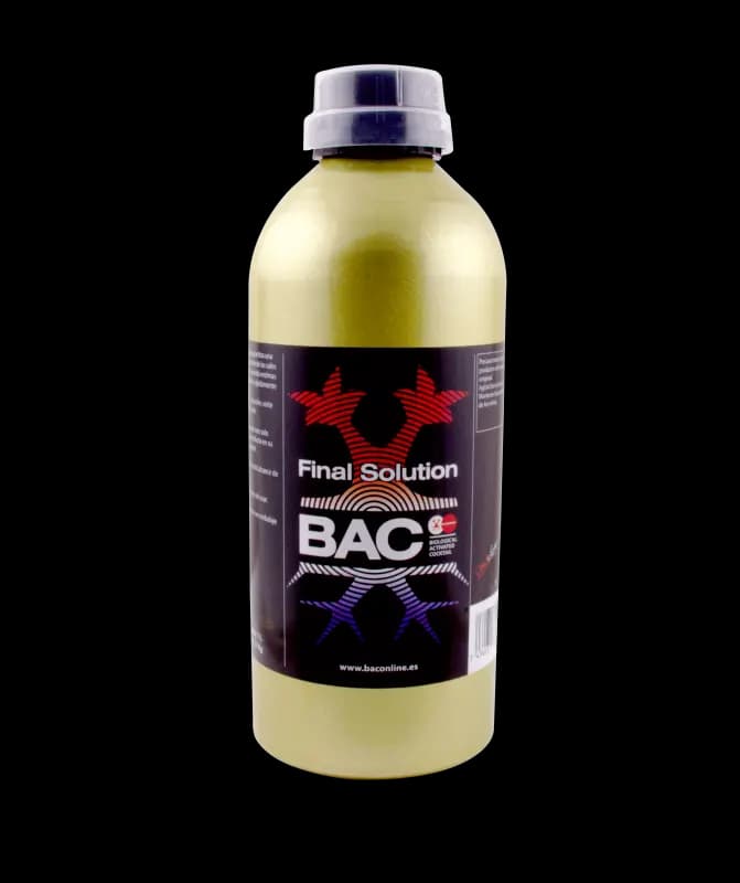 Final Solution BAC
