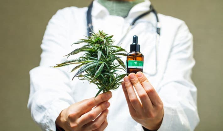 Uso de la Marihuana en la medicina