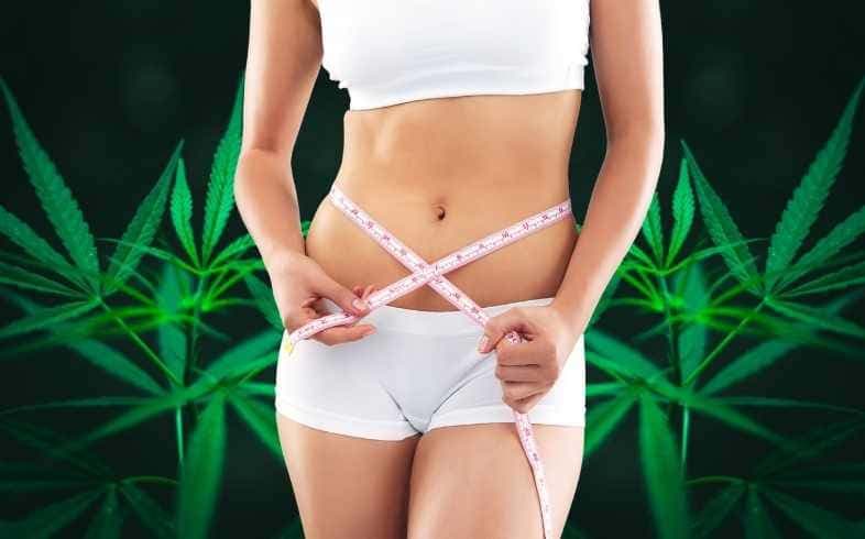 La Marihuana Adelgaza