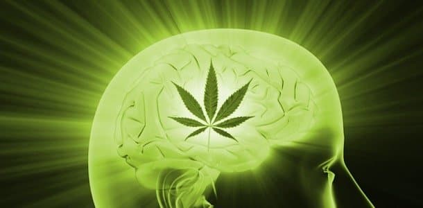 ¿La marihuana crea adicción?