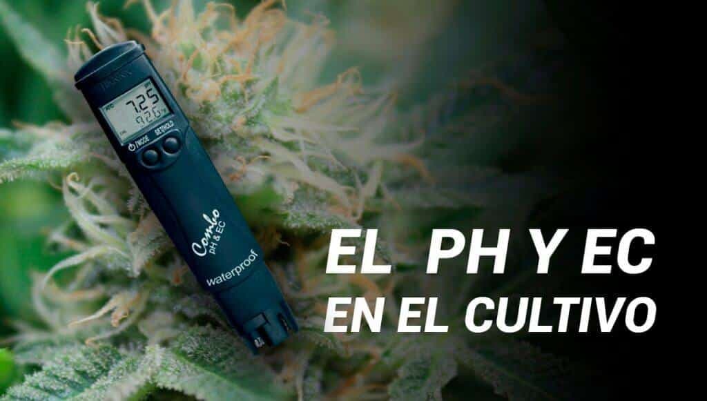 EC y PH del agua en un cultivo de Marihuana
