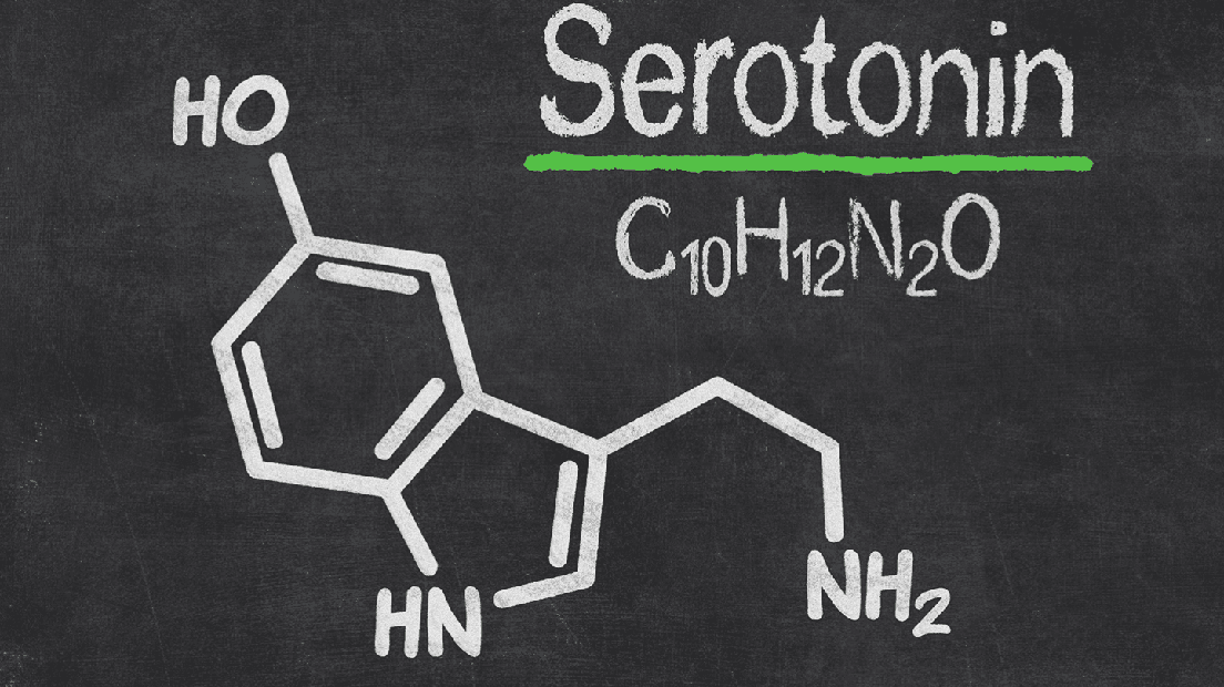 Serotonina y cannabis ¿Qué hace el cannabis con la serotonina?