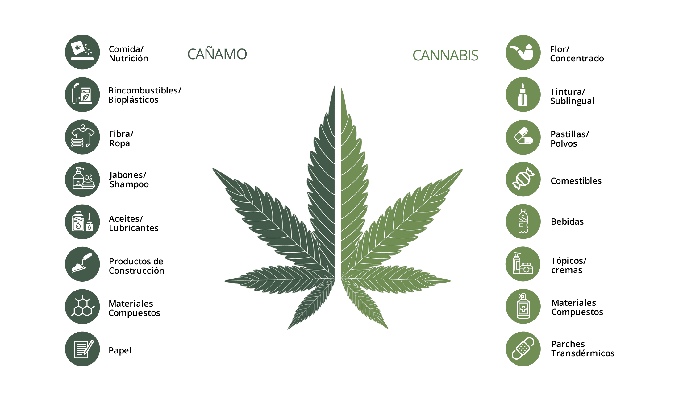 ¿Qué es el cáñamo y en qué se diferencia de la marihuana?