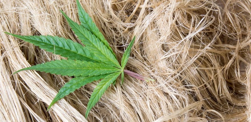 El cáñamo para la bioconstrucción