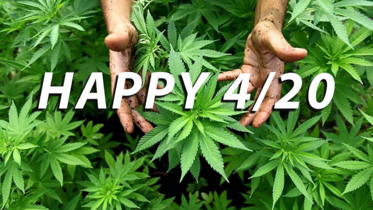 Día Mundial del Cannabis