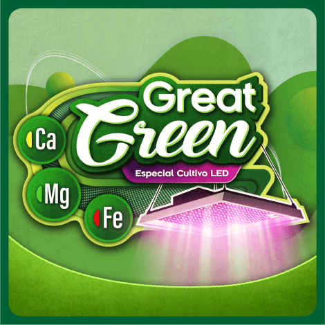 Descubriendo el secreto del Great Green de Agrobeta: ¿Qué es y por qué es tan especial?