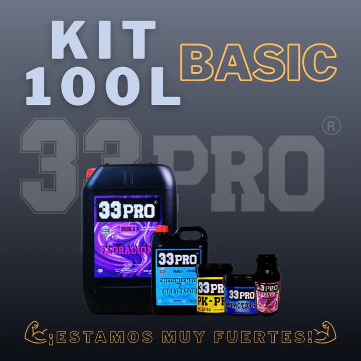 KIT 100 LITROS BASIC 33PRO