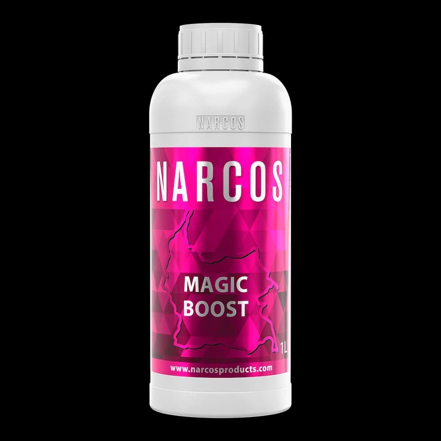 Magic Boost