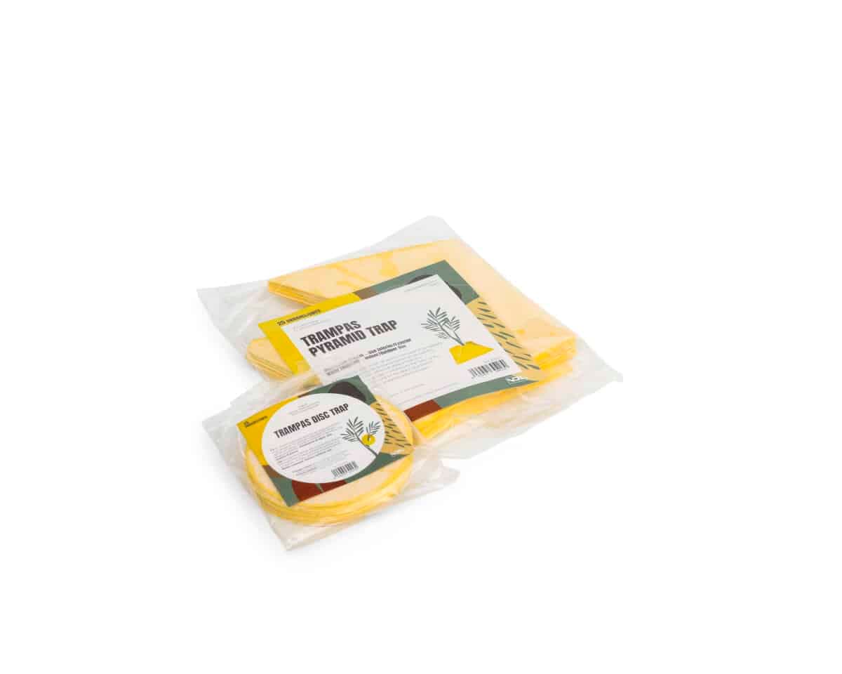 Trampas Pyramidtrap (25 Uds) Vdl - Imagen 4