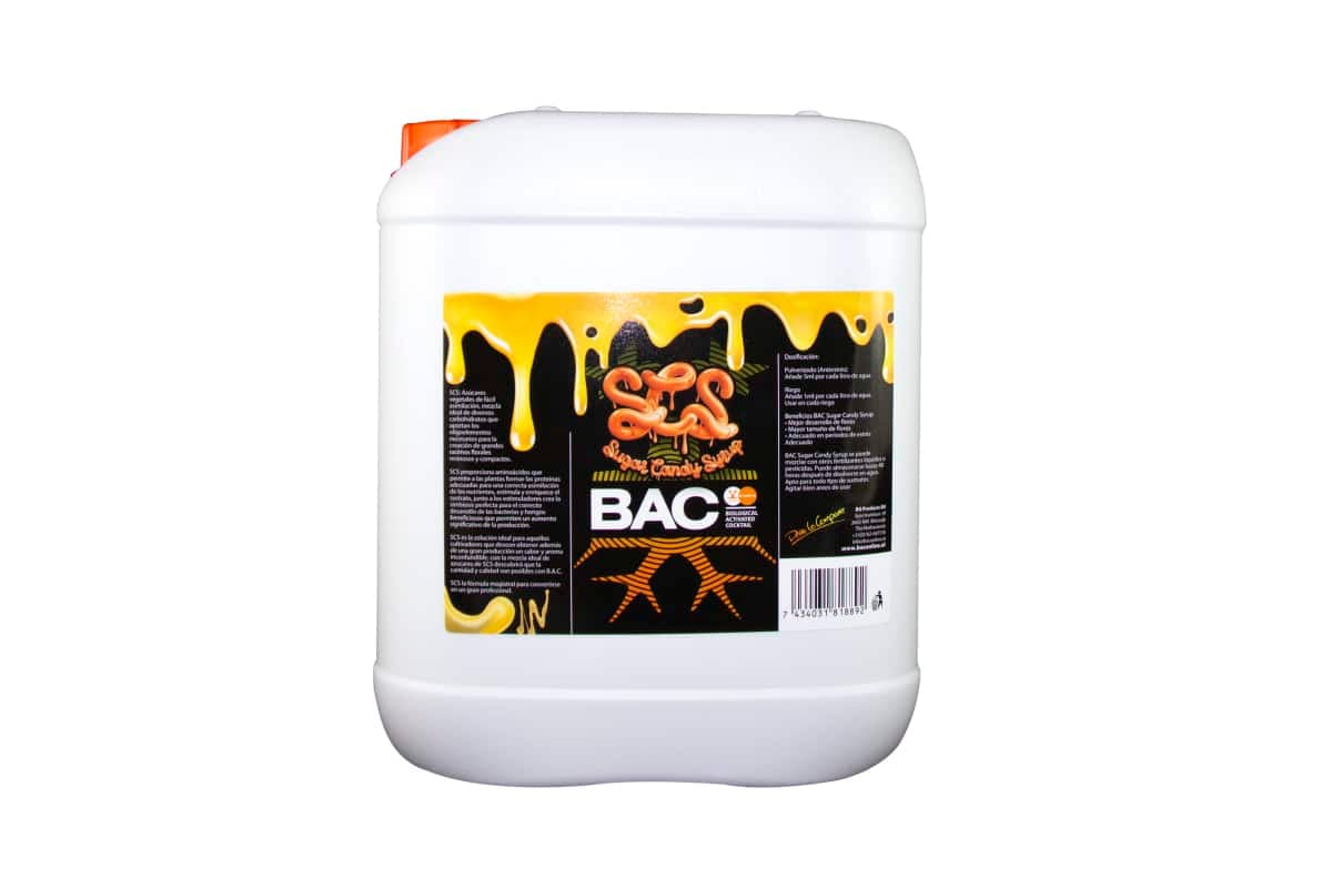 Sugar Candy Sirup Bac - Imagen 4