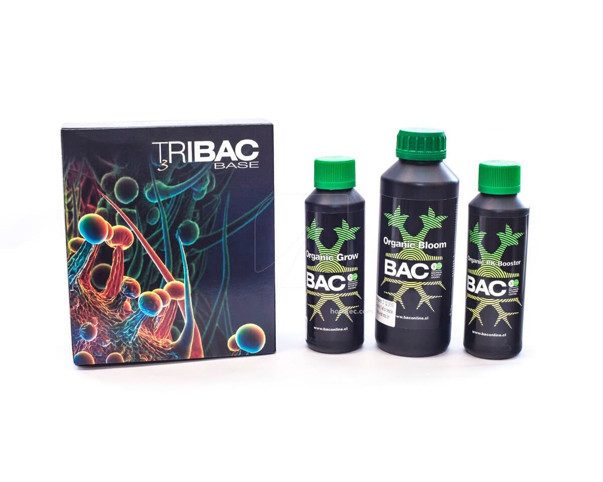 Tribac - Bac