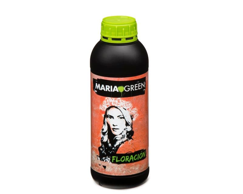 Bloom Maria Green
