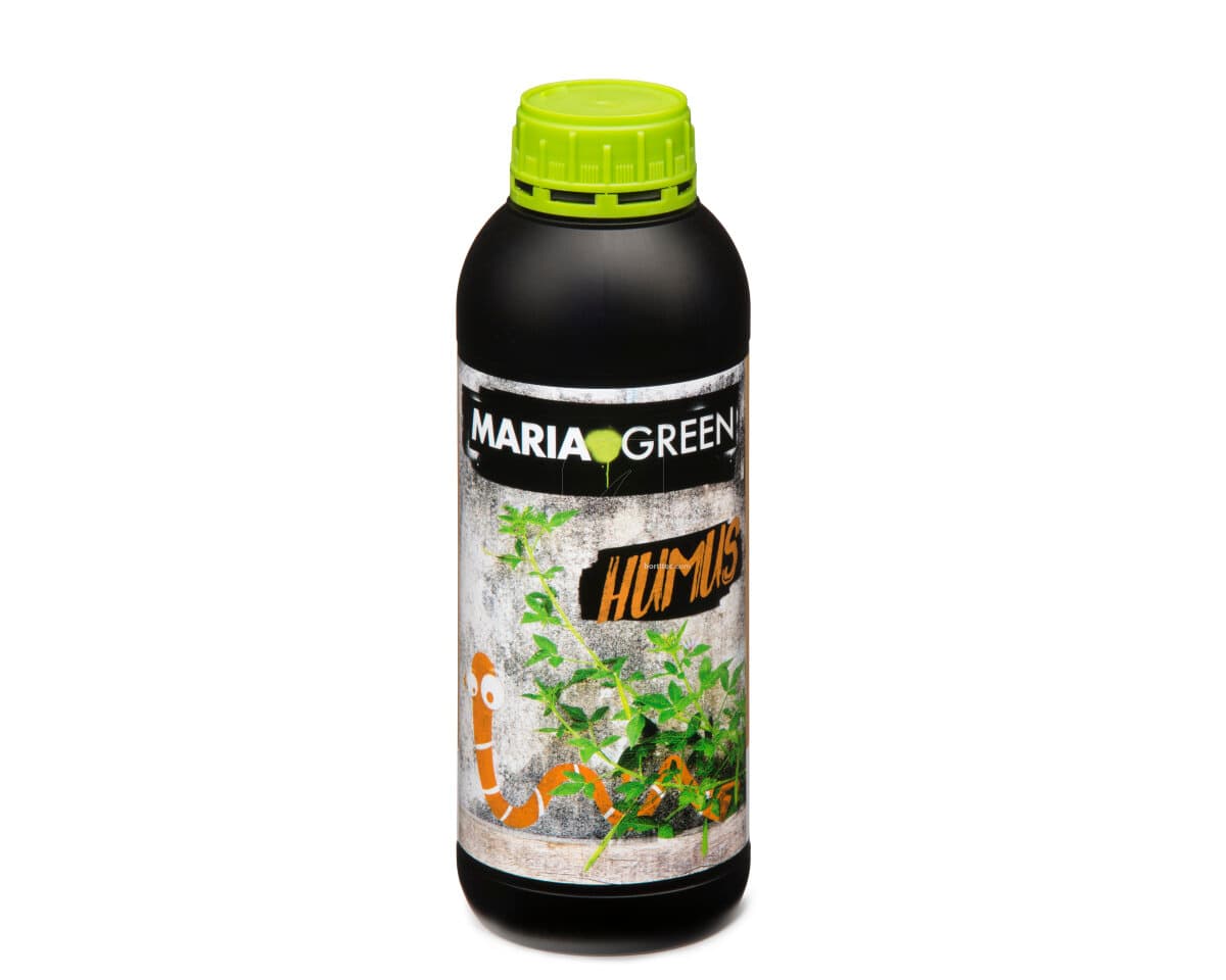 Humus Maria Green