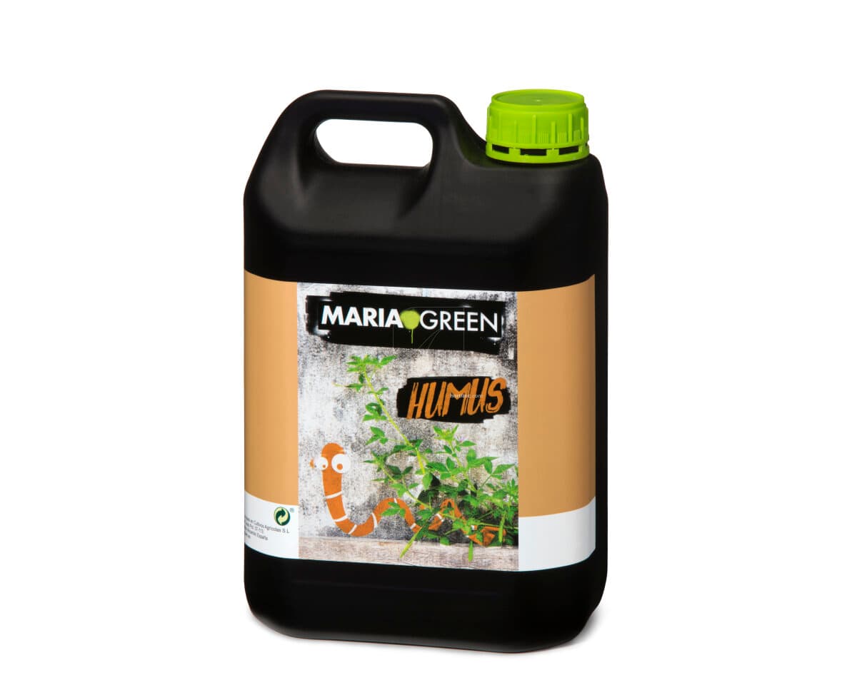 5 L