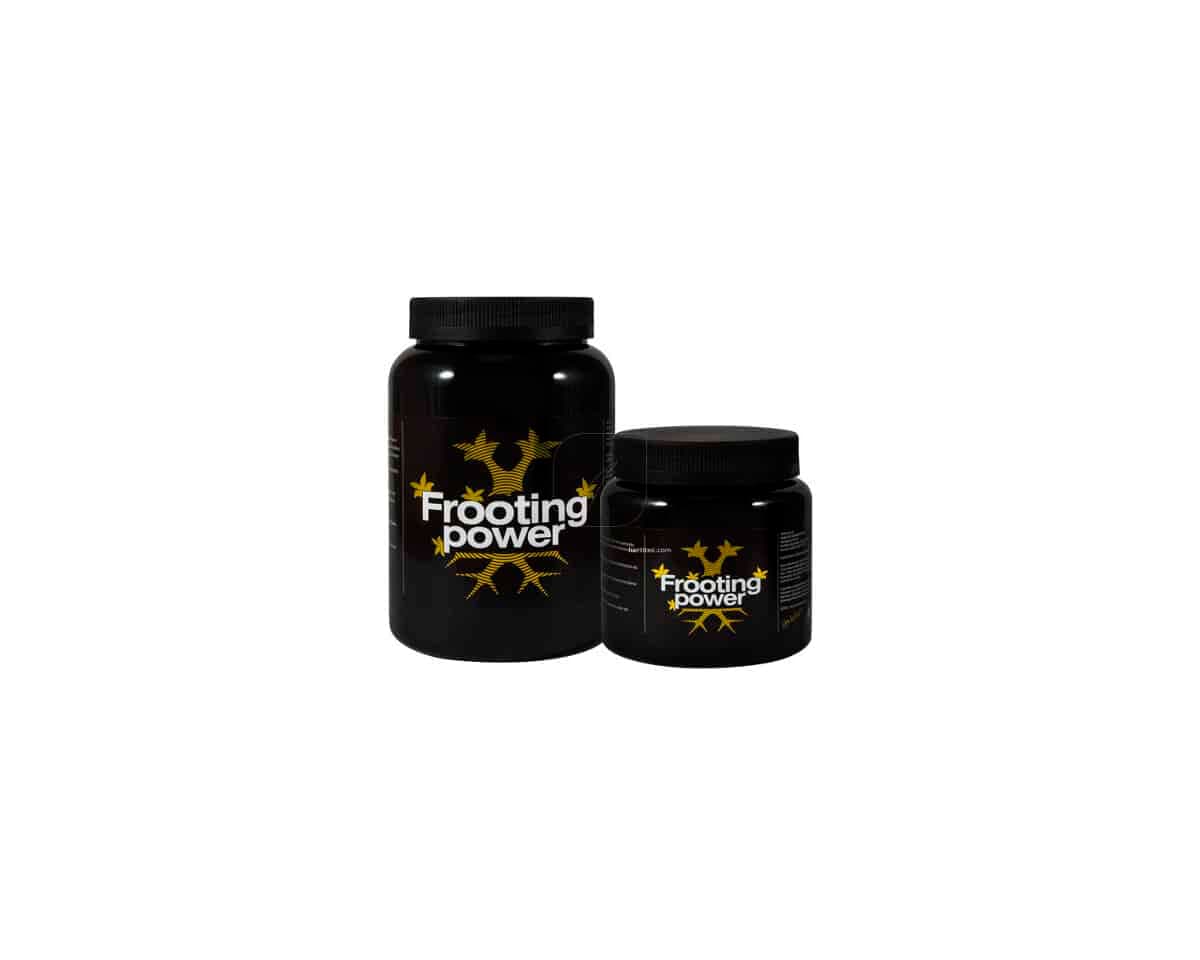 Frooting Power - Bac