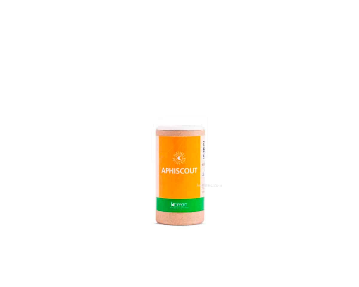 Aphiscout 250 (Avispas Para Pulgon) Koppert [Bajo pedido]