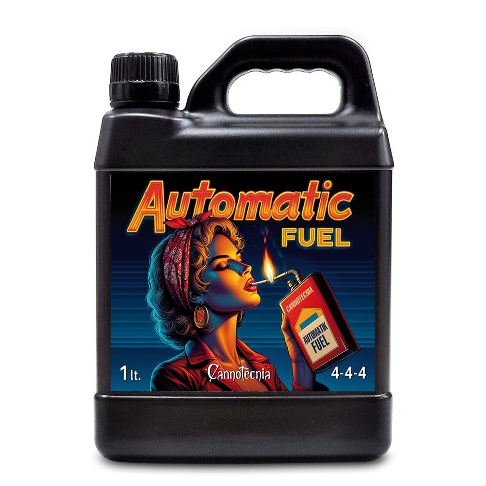 1L