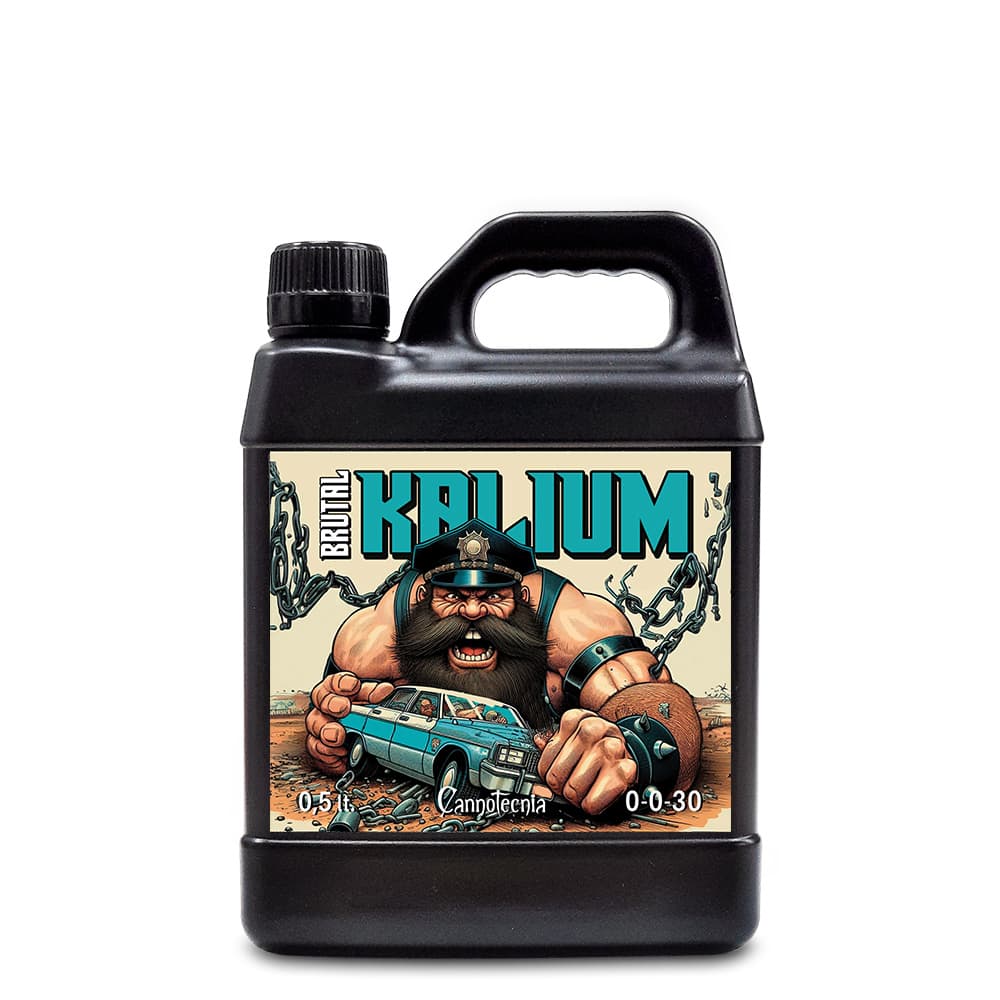 500ml
