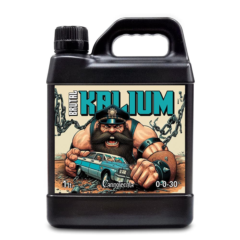 1L