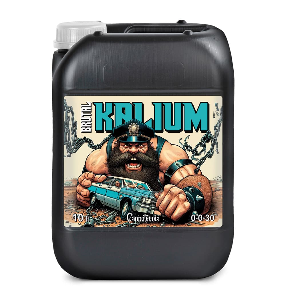 10L