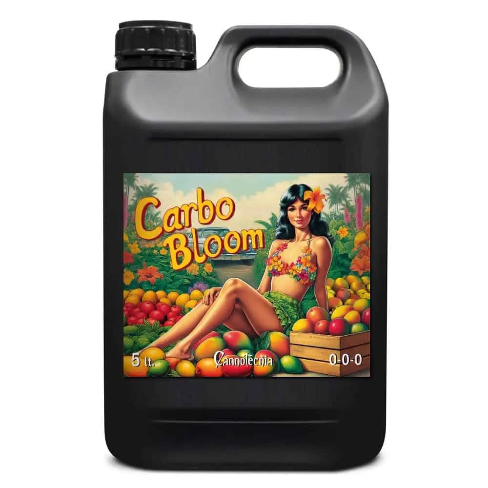 5L