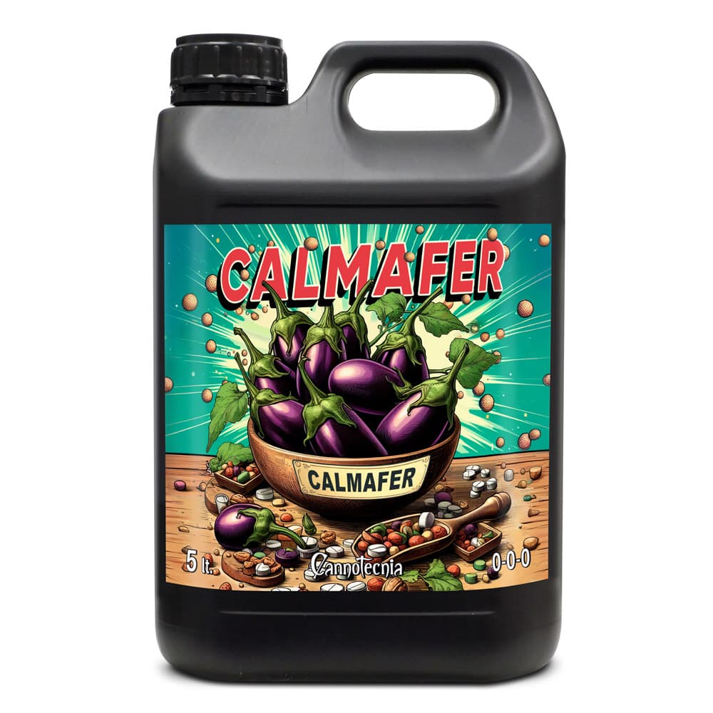 5L