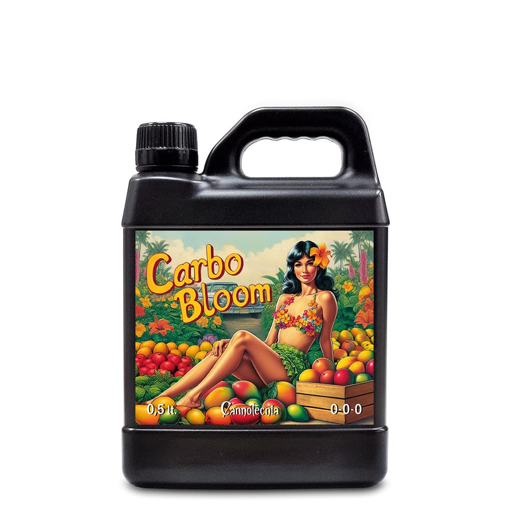 500ml