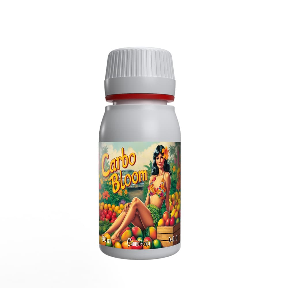 60ml