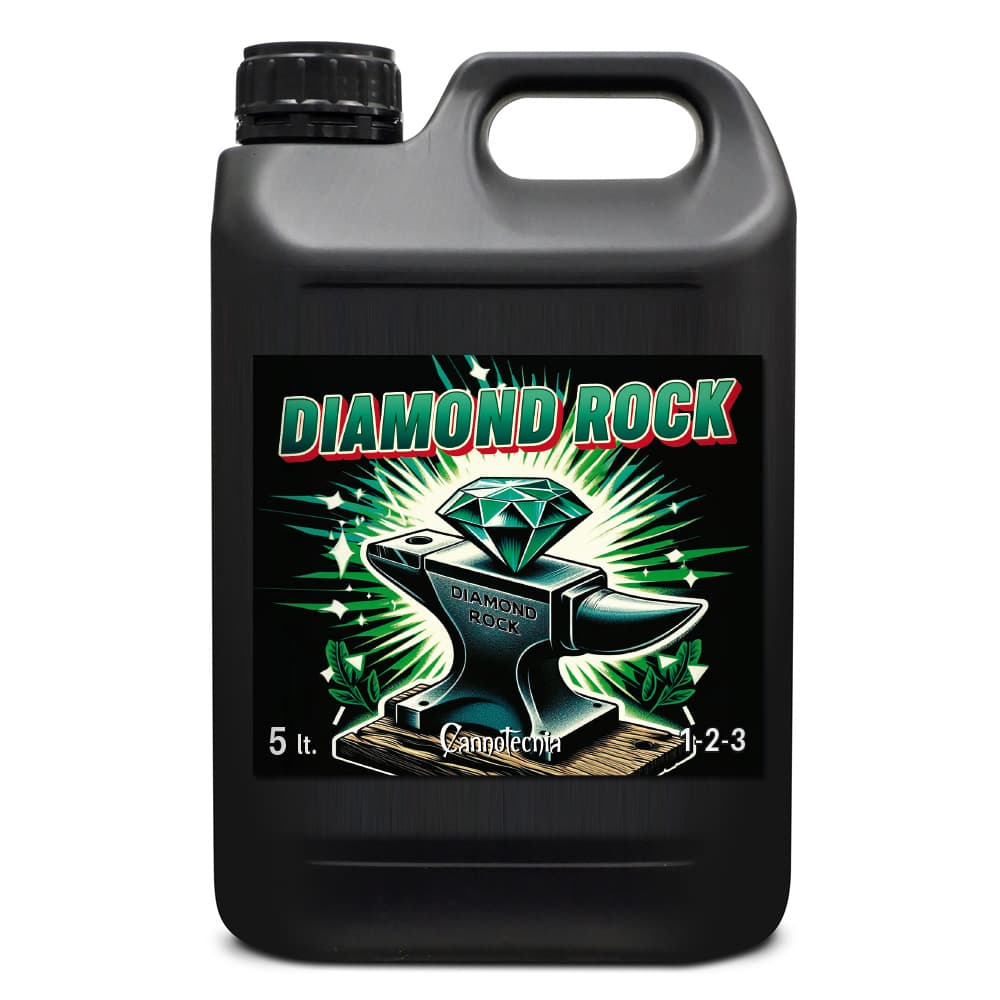 5L
