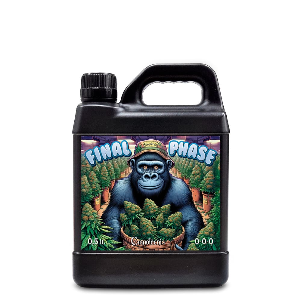 500ml