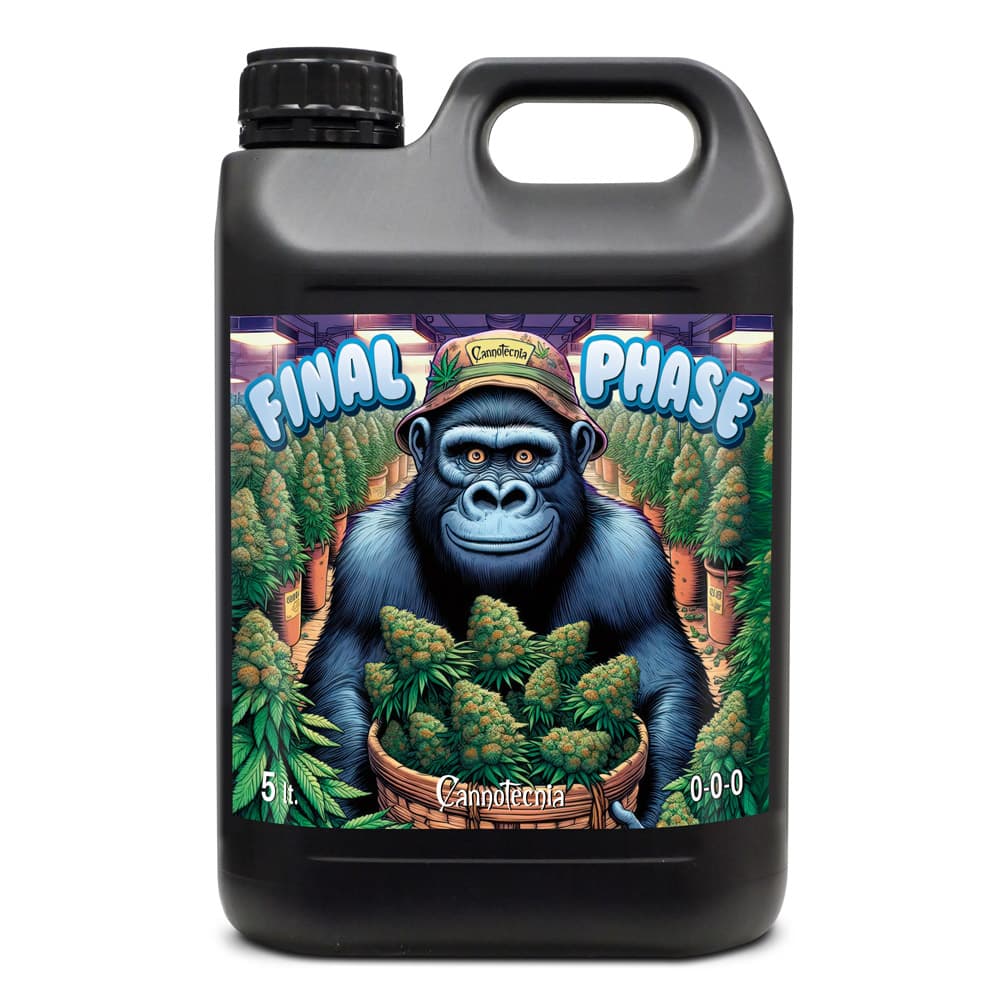 5L