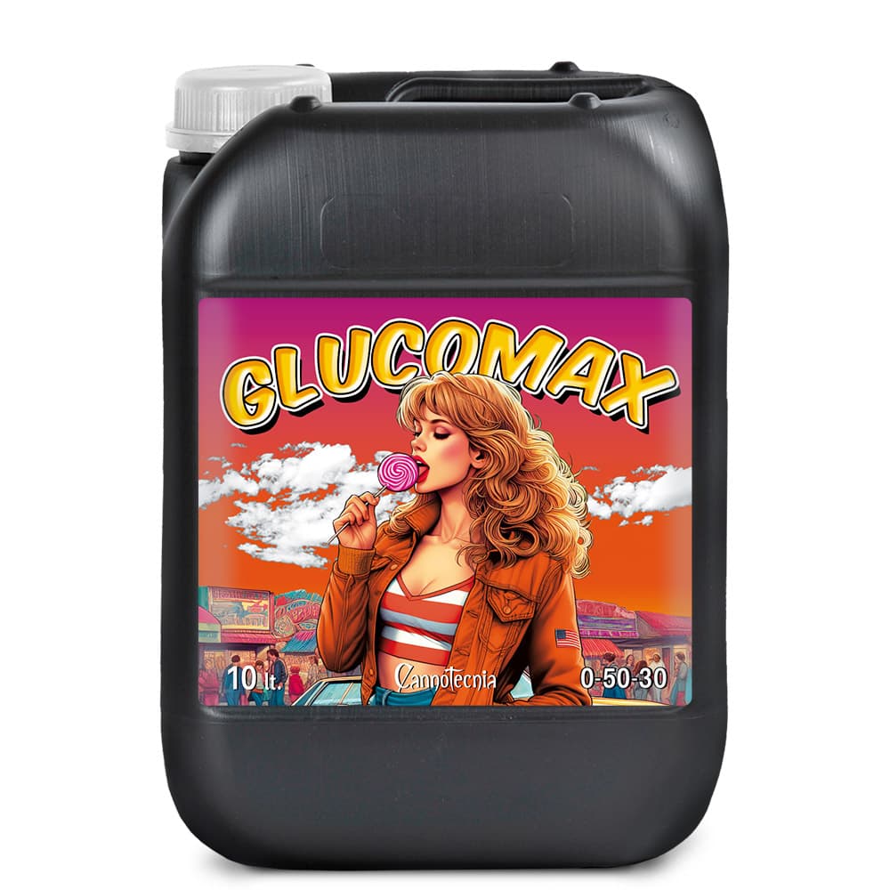 10L