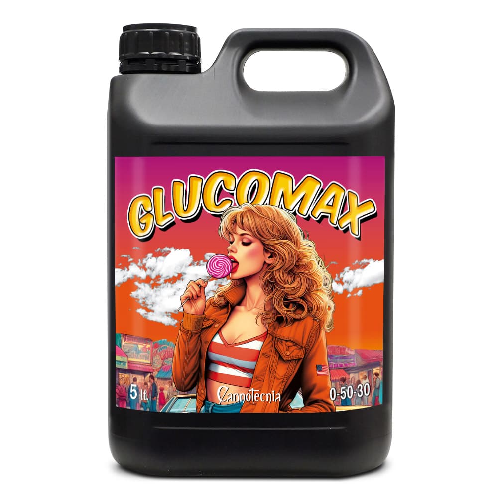 5L