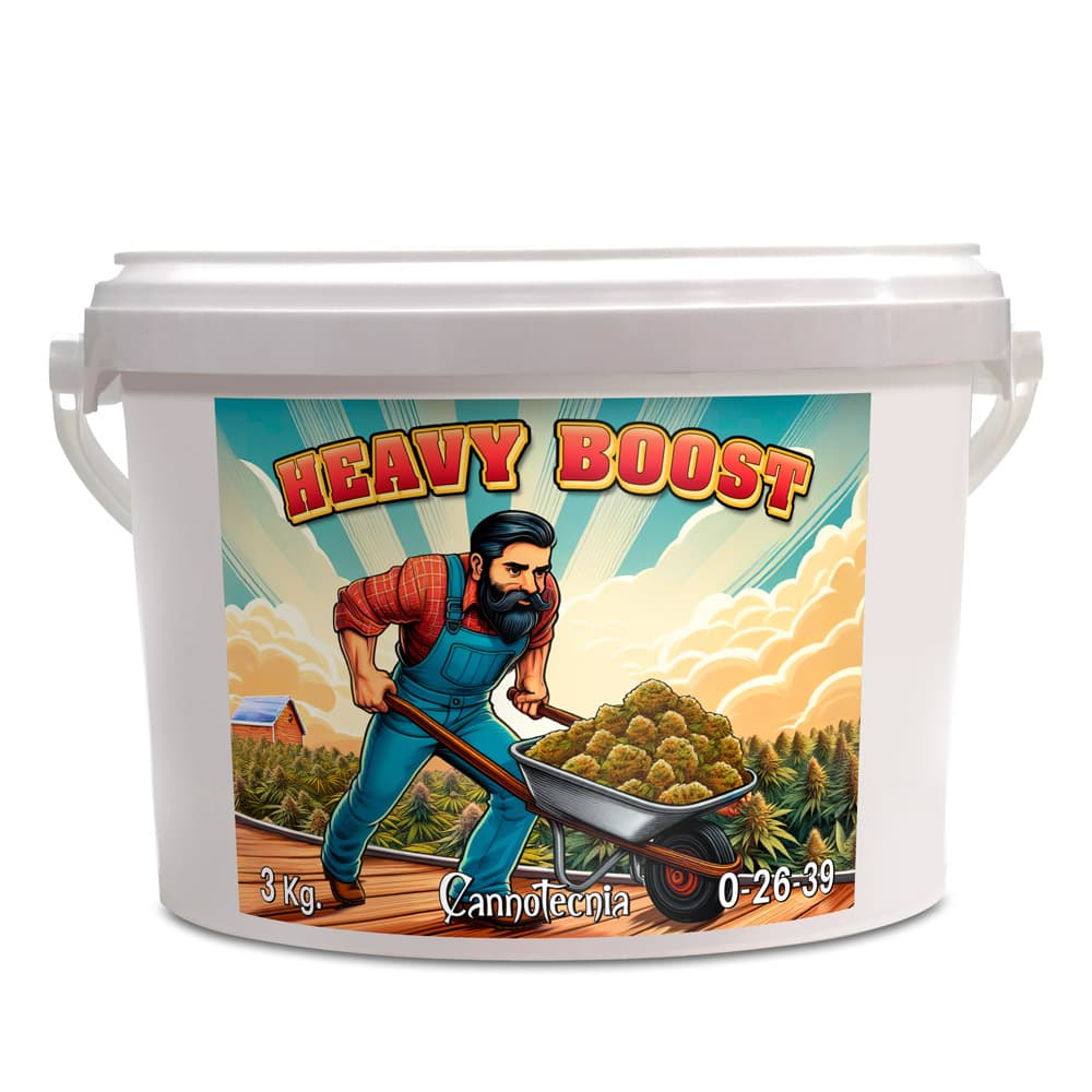 3Kg