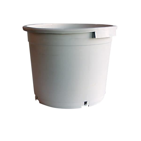 Maceta Redonda Blanca con Asas
