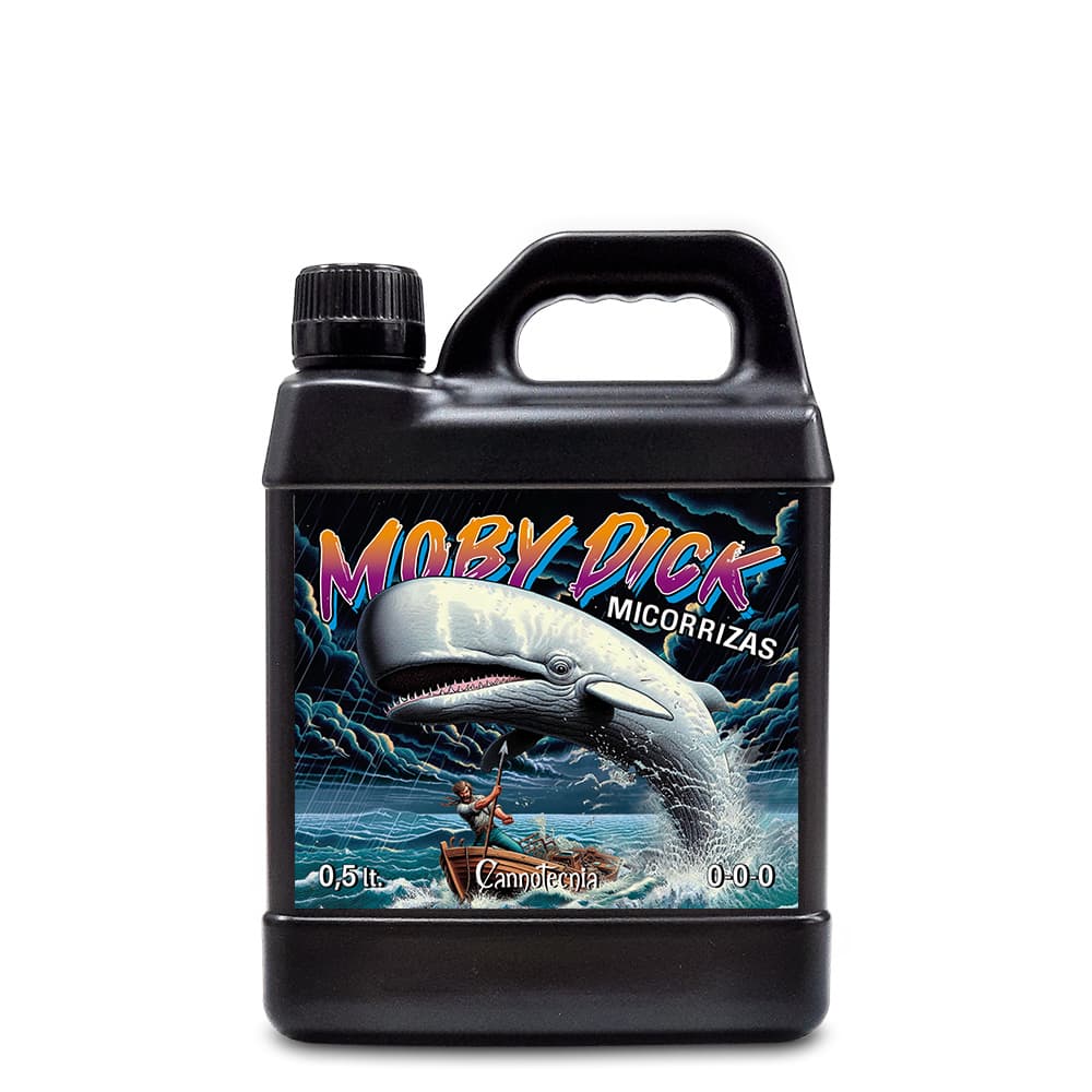 500ml