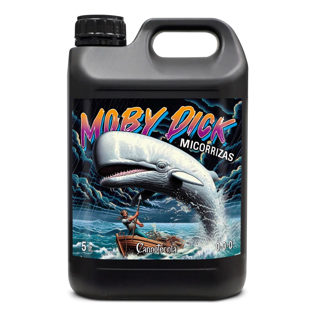 5L