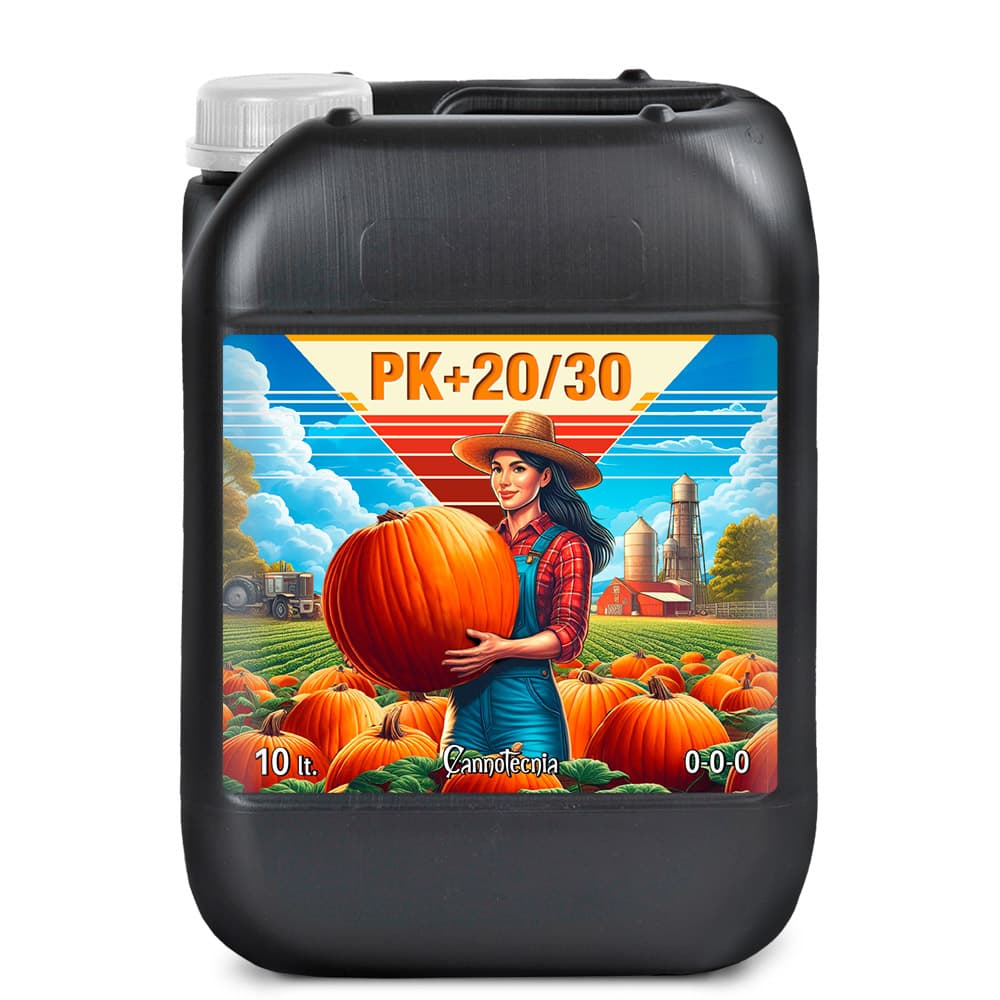 10L