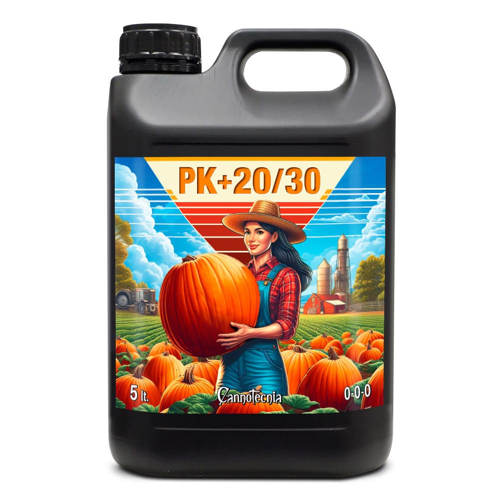 5L