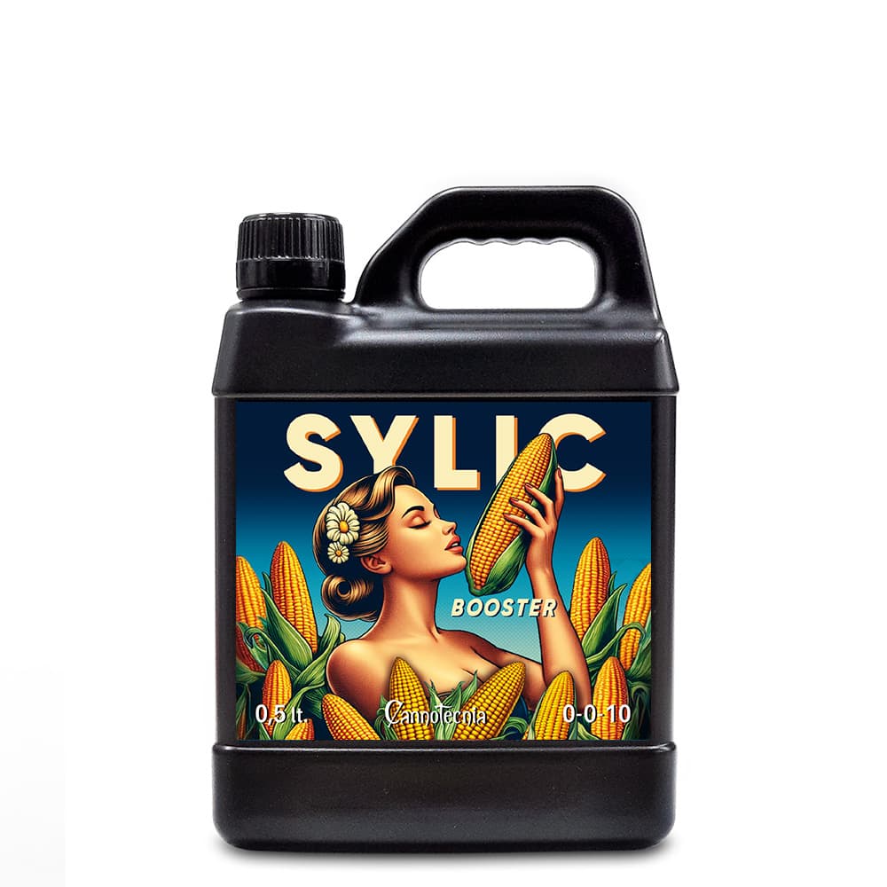 500ml