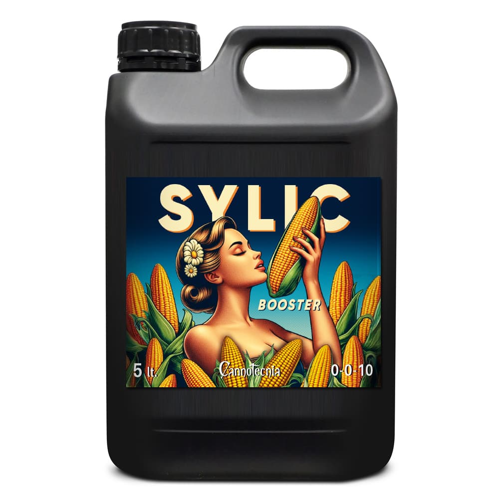 5L