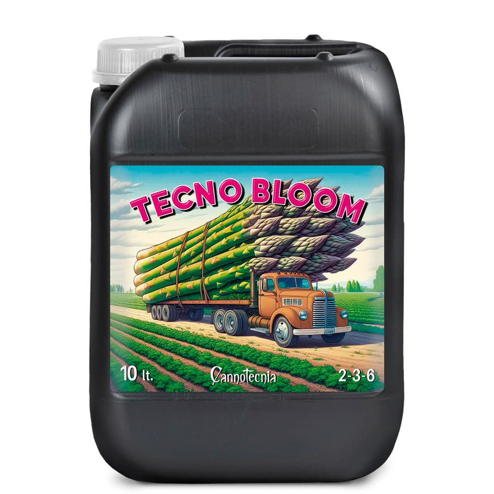 10L