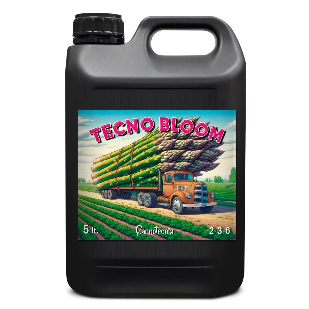 5L