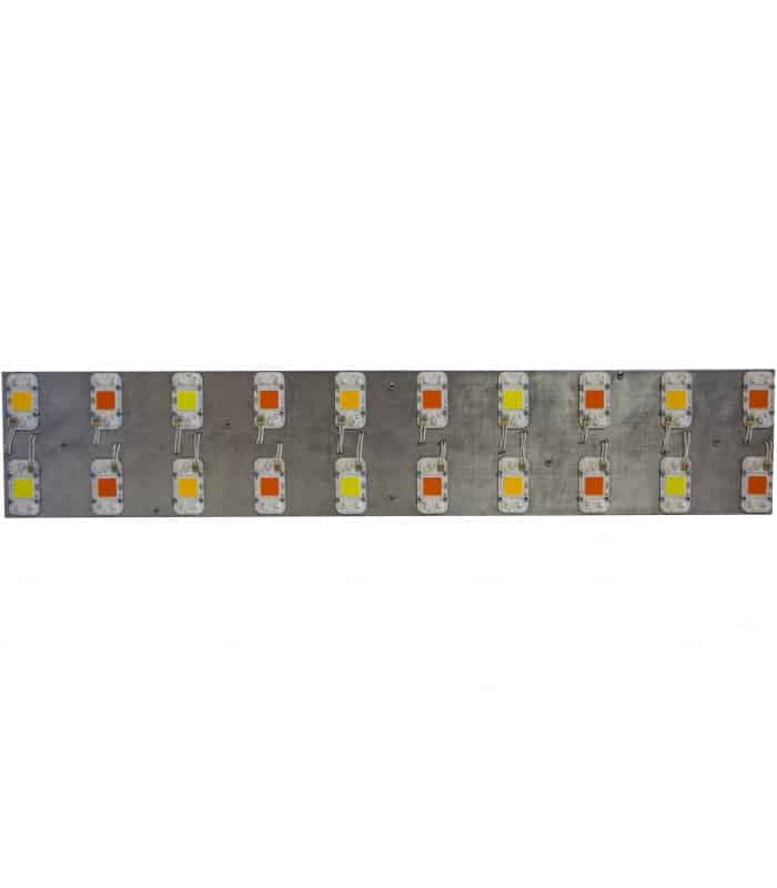 Back Factory 1000W Led - Imagen 3