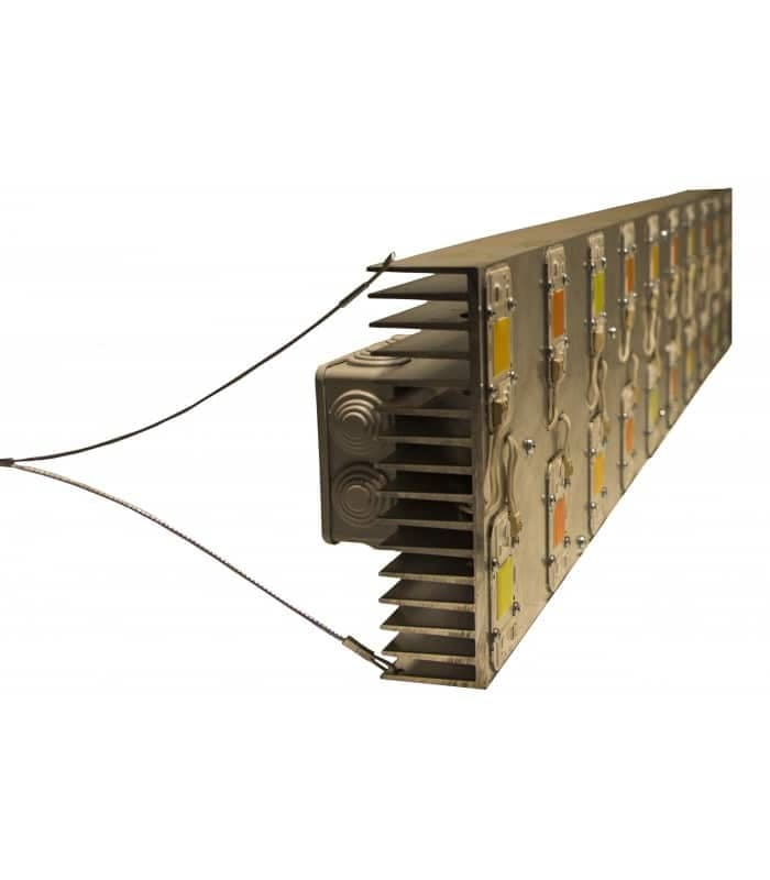 Back Factory 1000W Led - Imagen 4