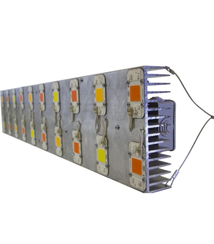 Back Factory 1000W Led