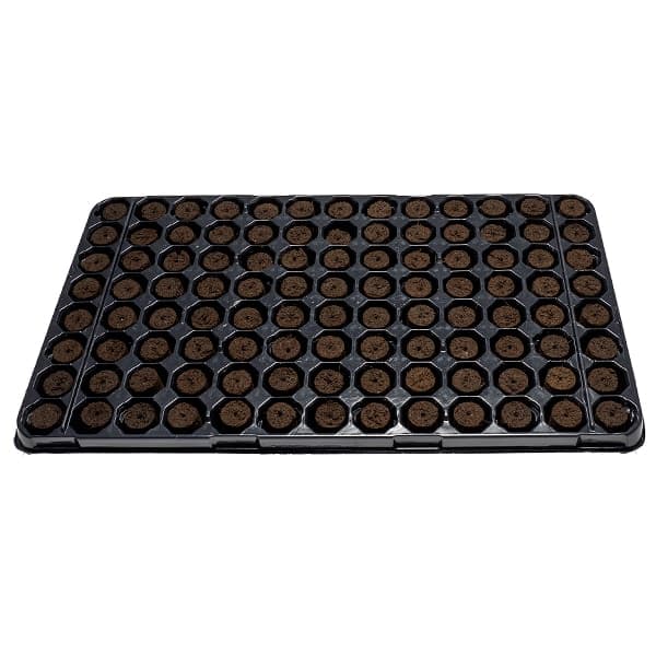 Caja De Bandejas Plugin Pro Xtract 21 Mm. 104 Alveolos (8 Bandejas)