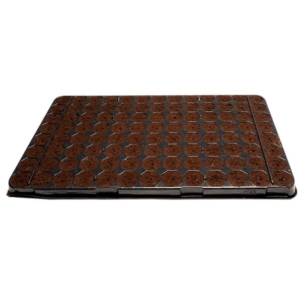 bandeja plugins 104 alveolos para germinación y enraizamiento