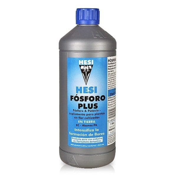1l